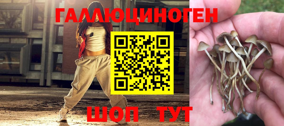Галлюциногенные грибы мухоморы Можайск
