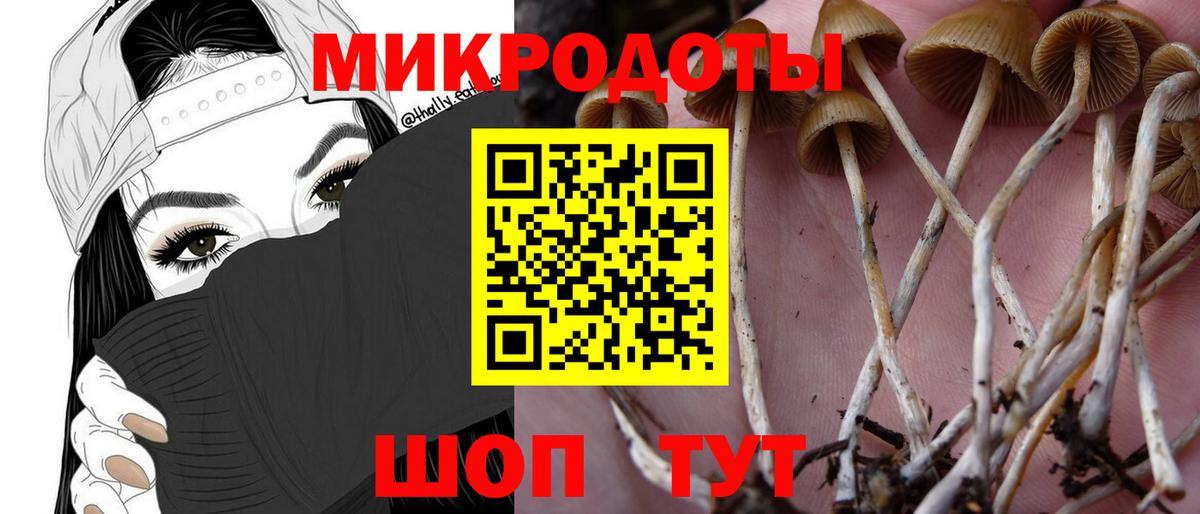 Можайск  Галлюциногенные грибы MAGIC MUSHROOMS  Вход с VPN  Псилоцибиновые грибы MAGIC MUSHROOMS 